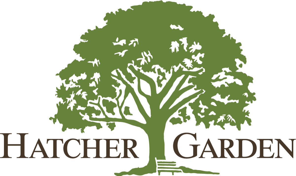 Hatcher Garden sends love to foster youth at Hope Center for Children