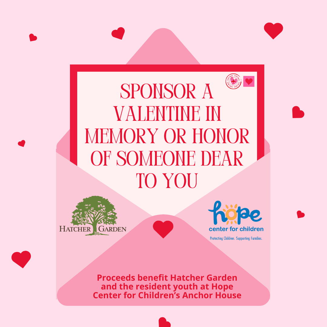 Send Your Love Valentine Fundraiser